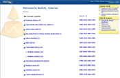 More about online course content and customization tools